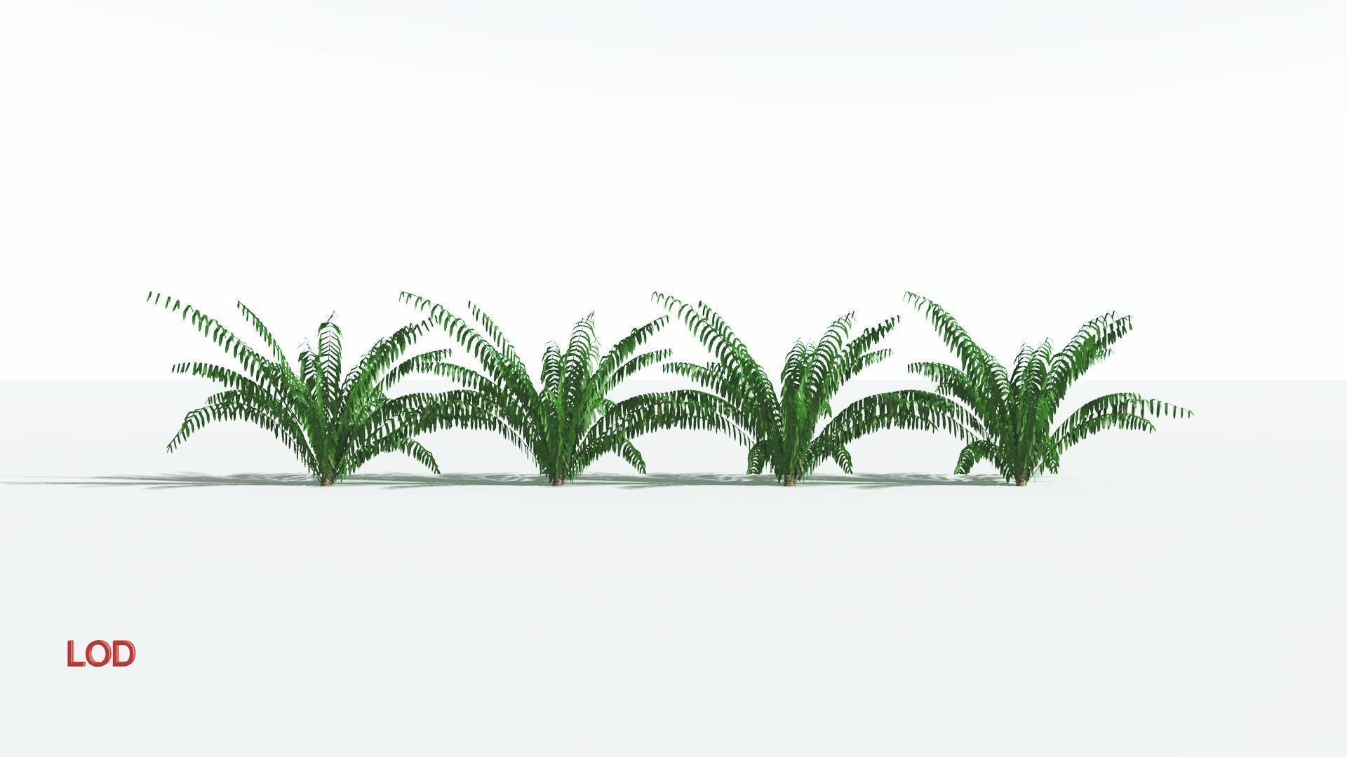 EVERYPlant Seashore Palm LowPoly 1 --12 Models-- Low-poly 3D model_3