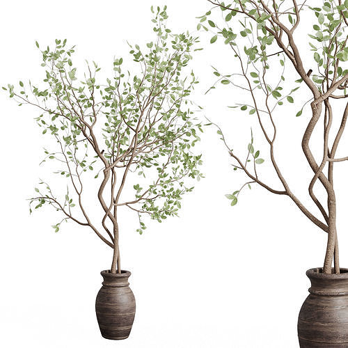 Indoor plant 479 wooden dirt vase plant tree pot 3D model
