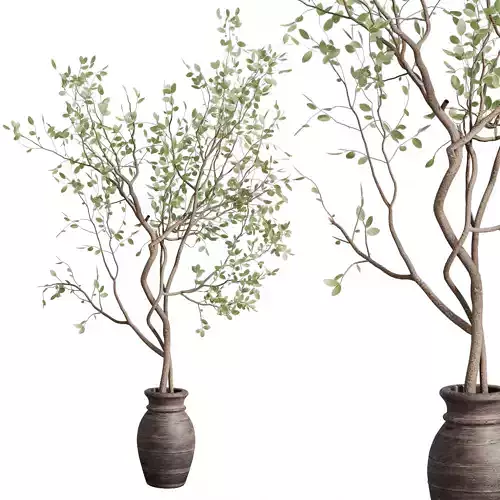 Indoor plant 479 wooden dirt vase plant tree pot