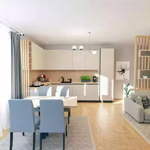 Modern Living Room and Kitchen