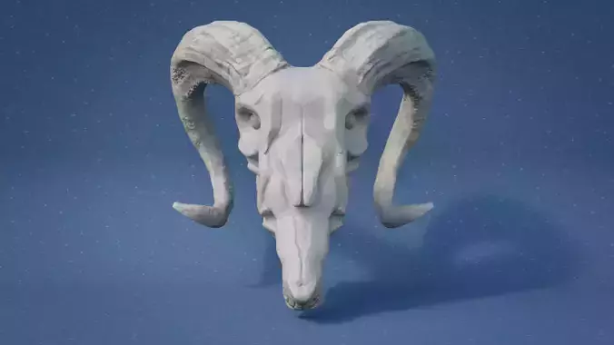 Goat Skull