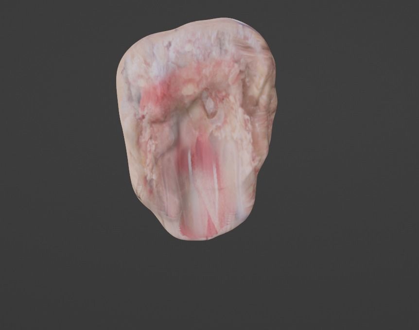 Chicken Caps  3D print model_1