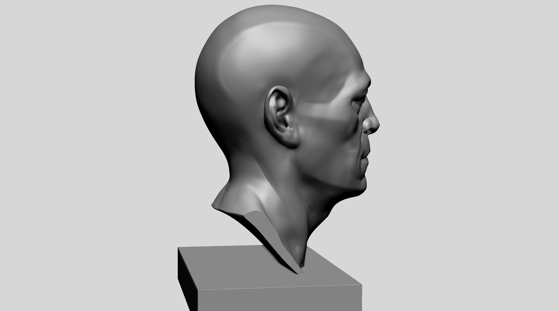 Male Head Printable C 3D print model_3