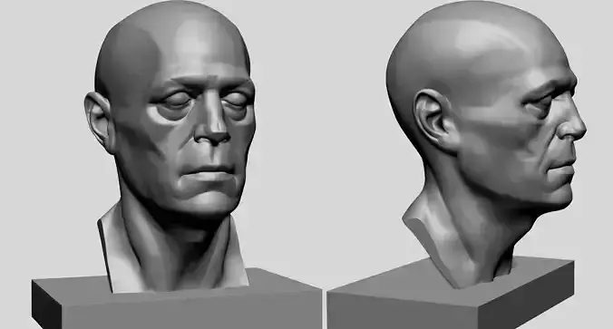 Male Head Printable C 3D print model