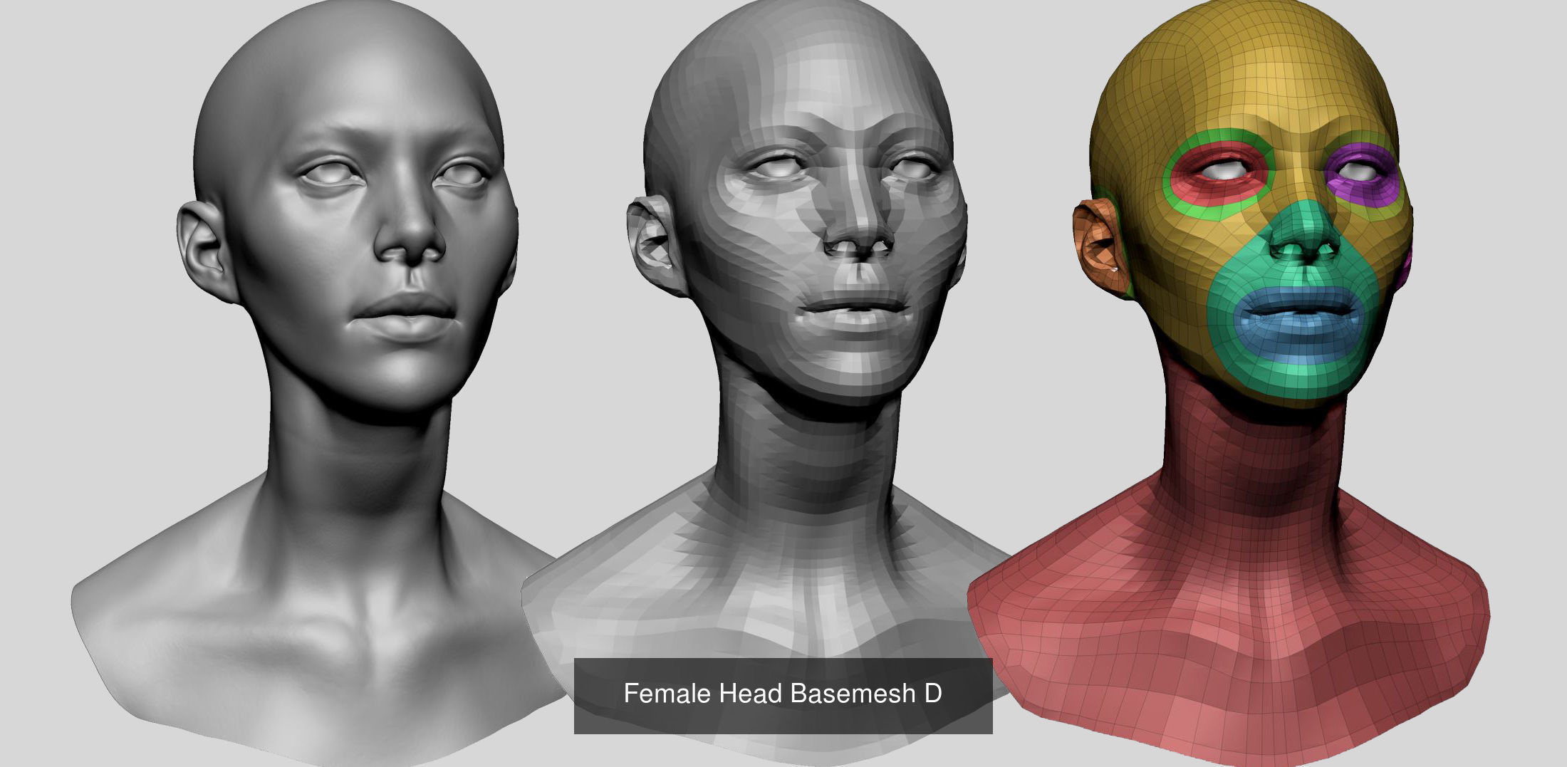 Basemesh Collection v1 _6