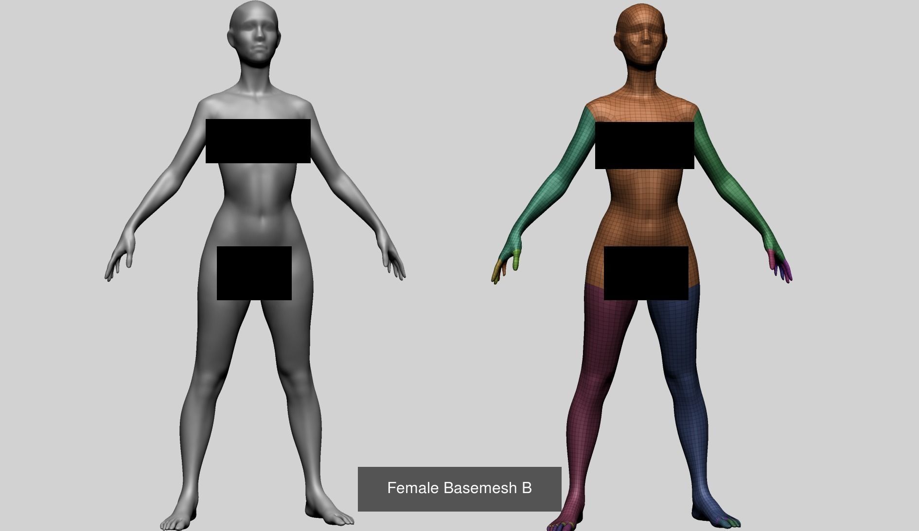 Basemesh Collection v1 _8