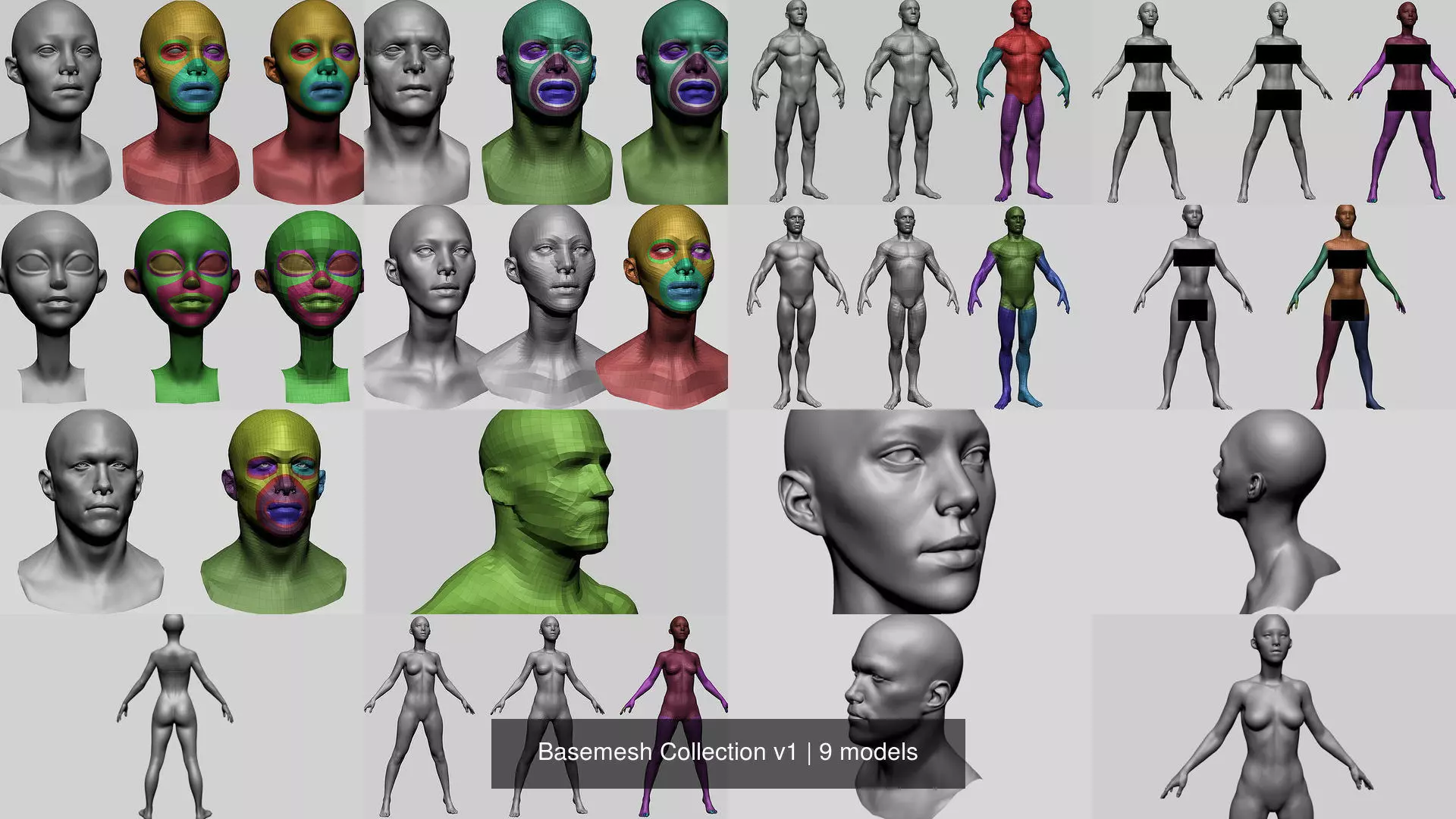 Basemesh Collection v1 _0