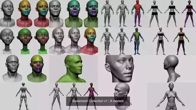 Basemesh Collection v1 