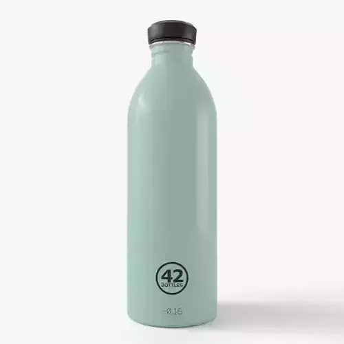 Stainless Steel Water Bottle