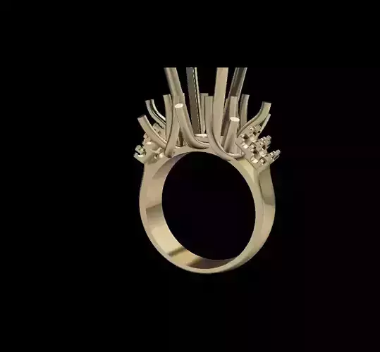 Women Ring 3D print model
