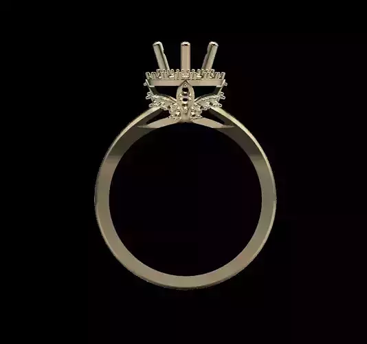 Women Ring 3D print model