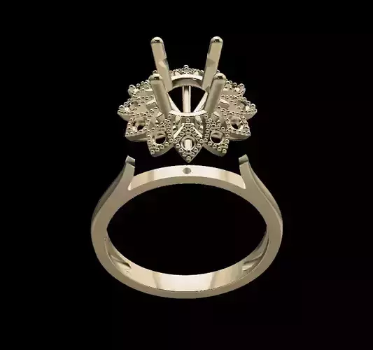 Women Ring 3D print model