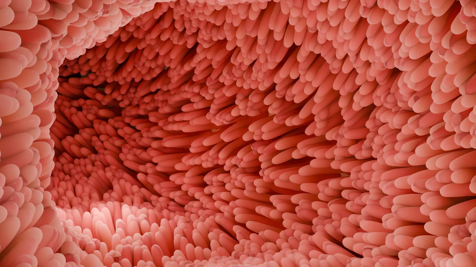 Intestinal villi Low-poly 3D model_0