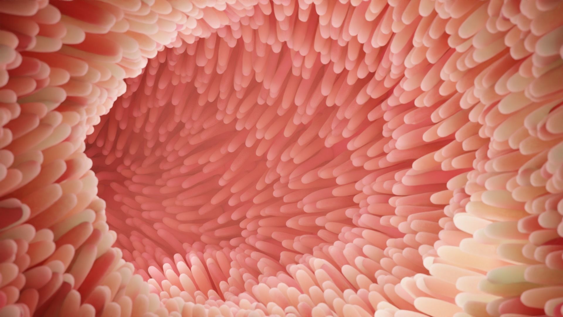 Intestinal villi Low-poly 3D model_2