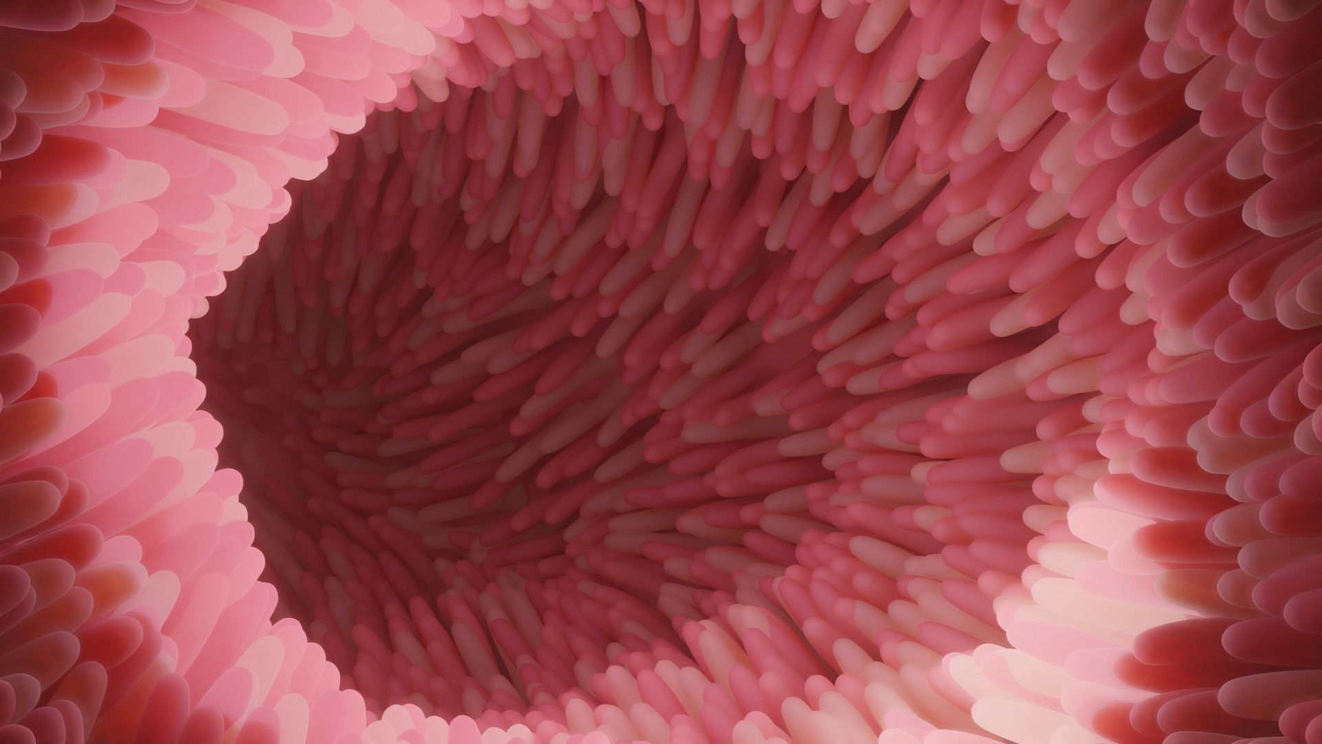 Intestinal villi Low-poly 3D model_1