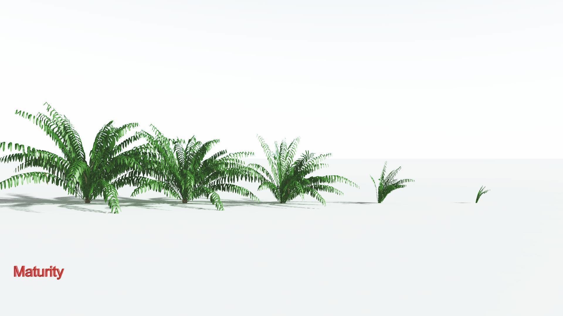 EVERYPlant Seashore Palm LowPoly 2 --12 Models-- Low-poly 3D model_2