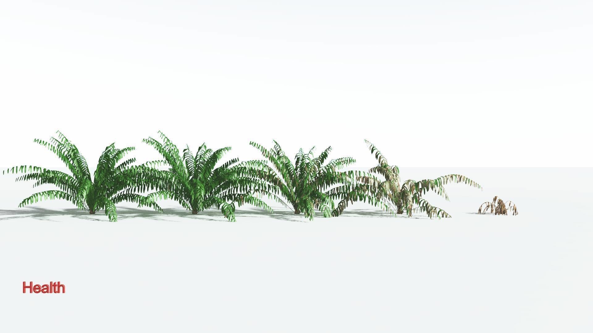 EVERYPlant Seashore Palm LowPoly 2 --12 Models-- Low-poly 3D model_1