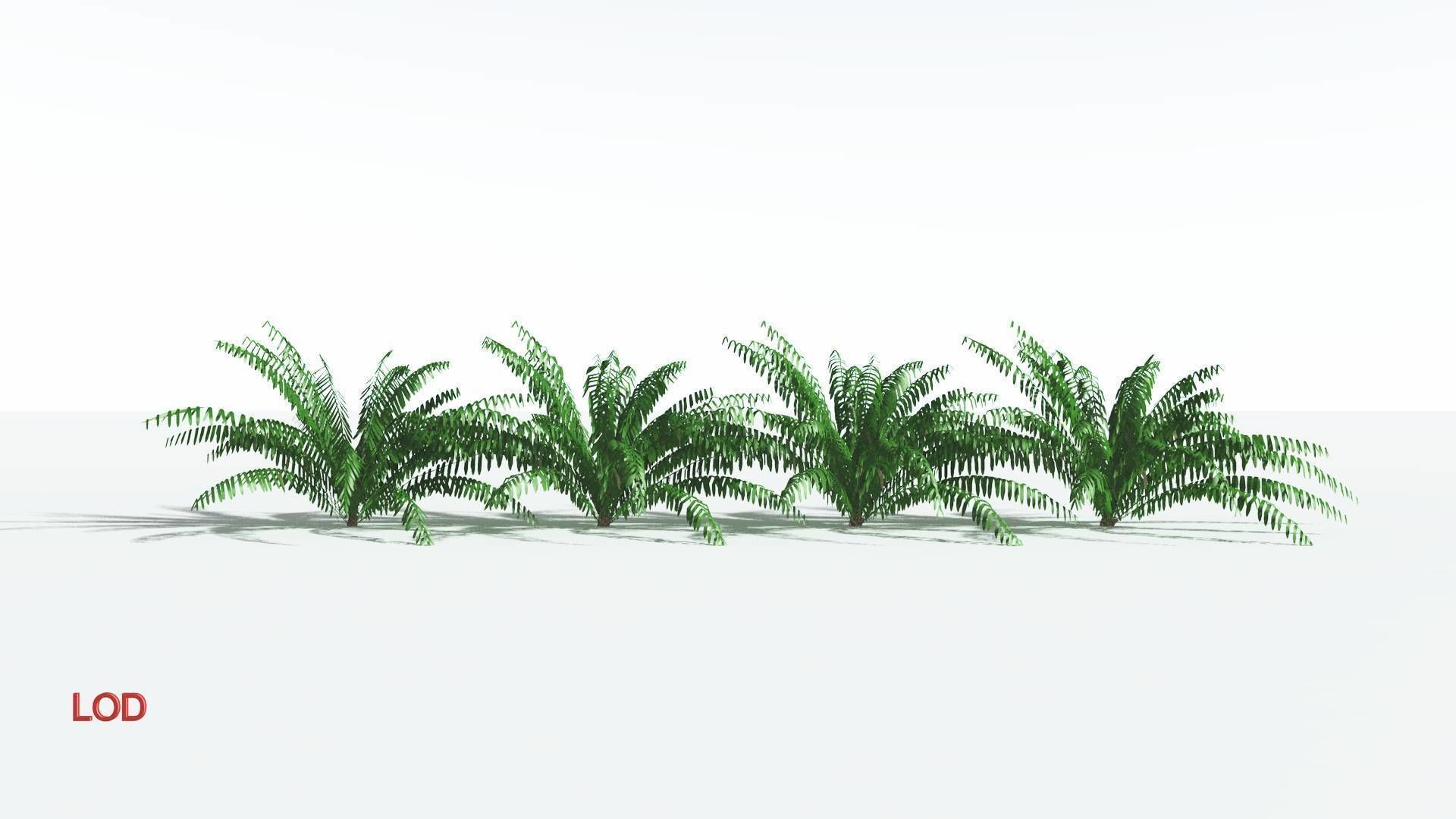 EVERYPlant Seashore Palm LowPoly 2 --12 Models-- Low-poly 3D model_3