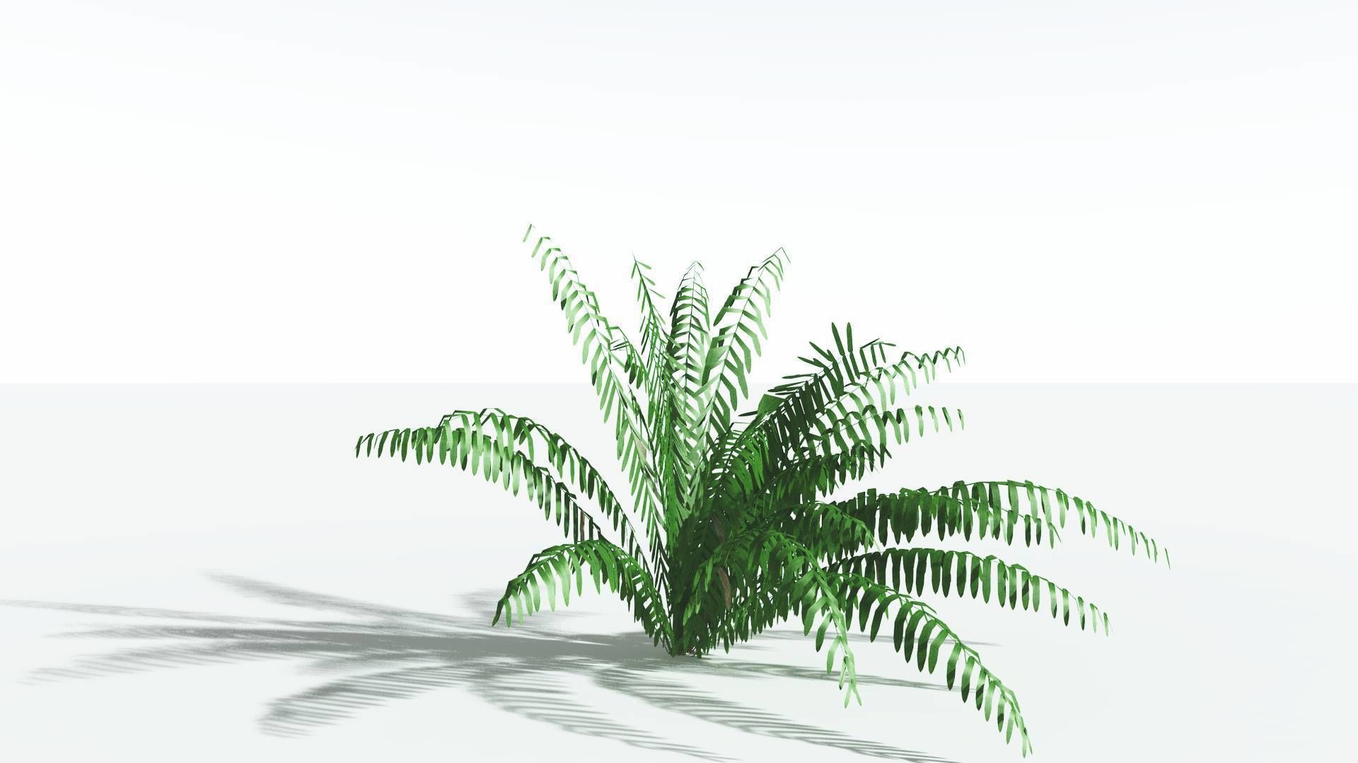 EVERYPlant Seashore Palm LowPoly 2 --12 Models-- Low-poly 3D model_16