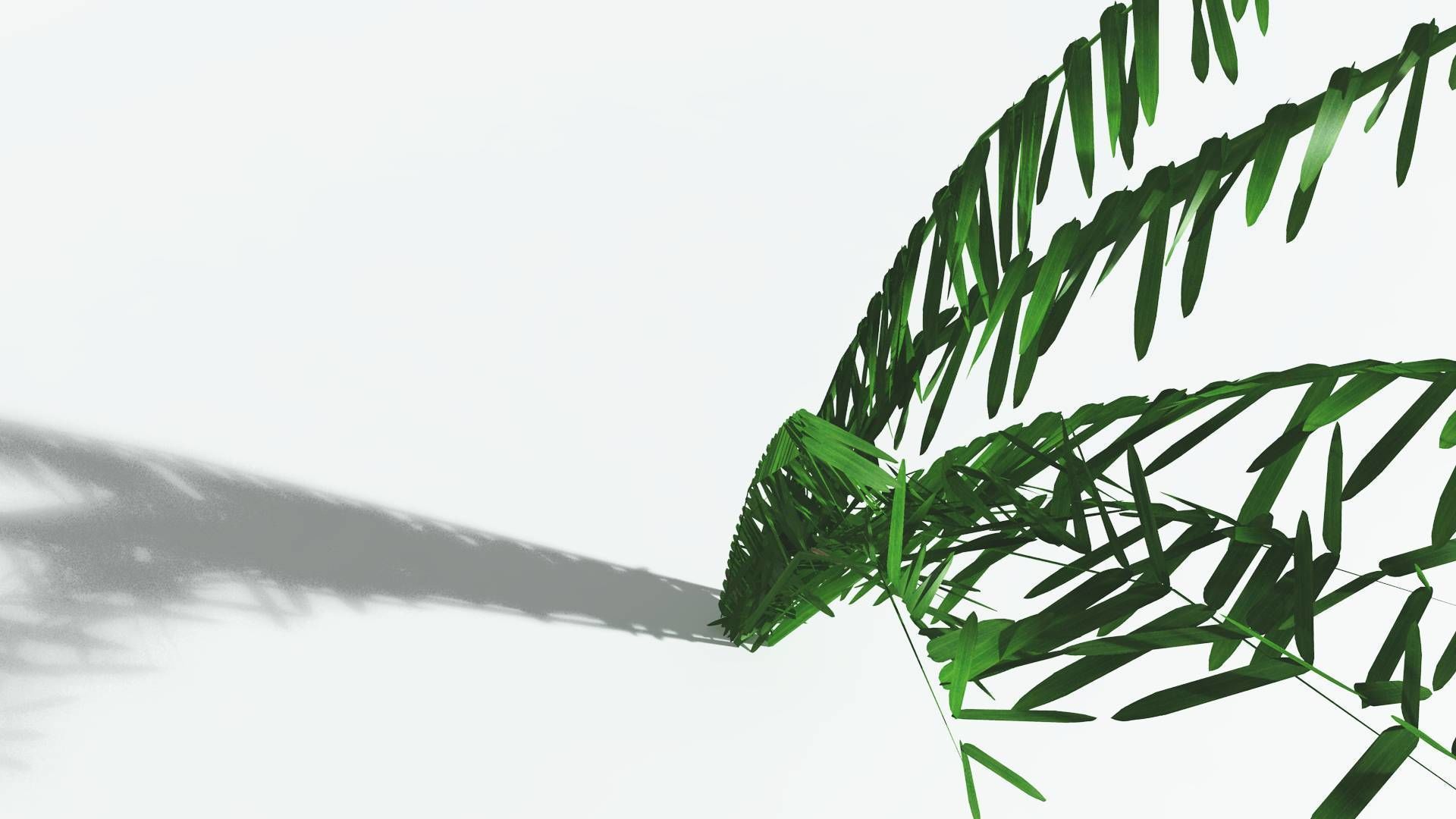 EVERYPlant Seashore Palm LowPoly 2 --12 Models-- Low-poly 3D model_21