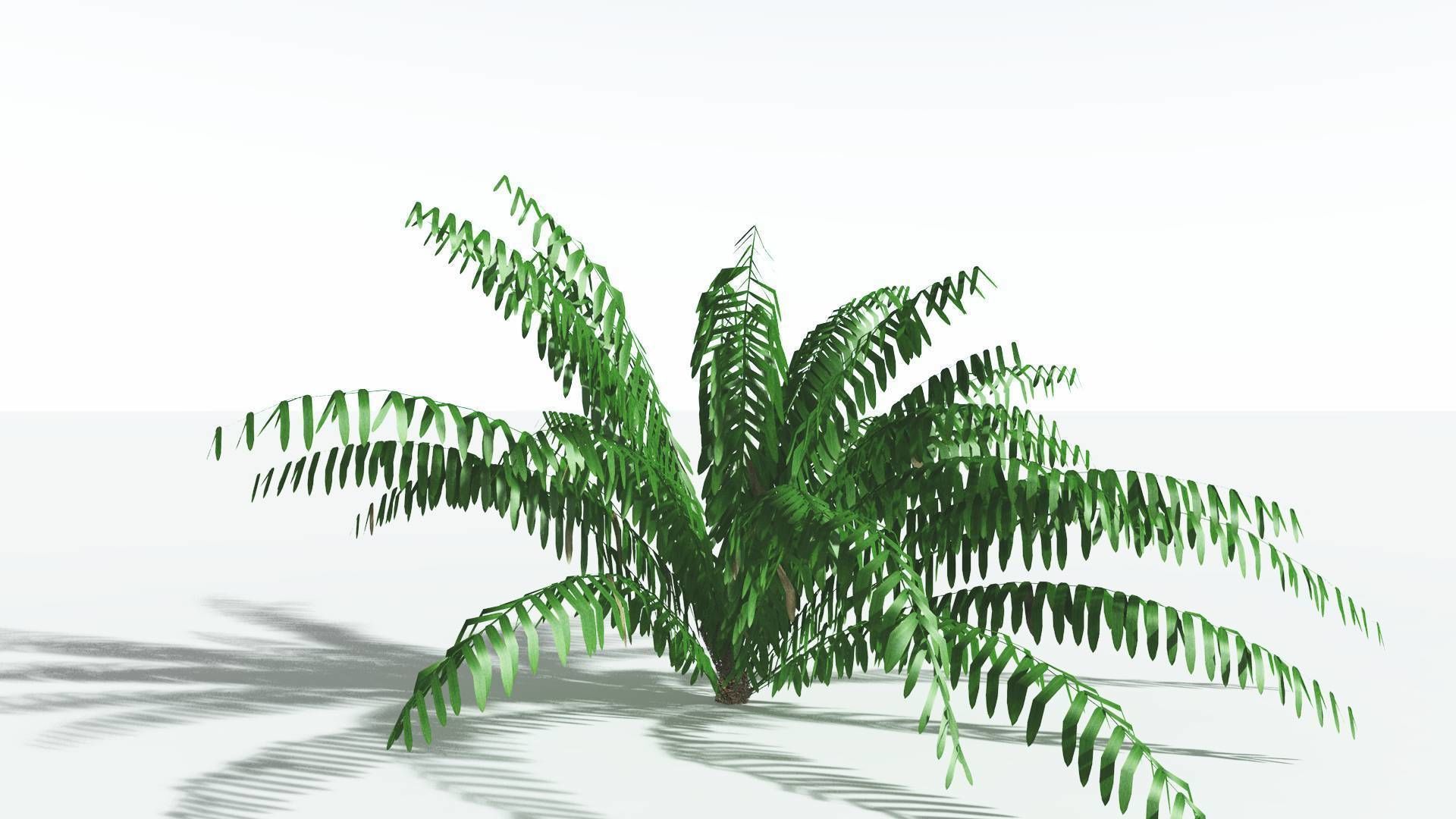 EVERYPlant Seashore Palm LowPoly 2 --12 Models-- Low-poly 3D model_4