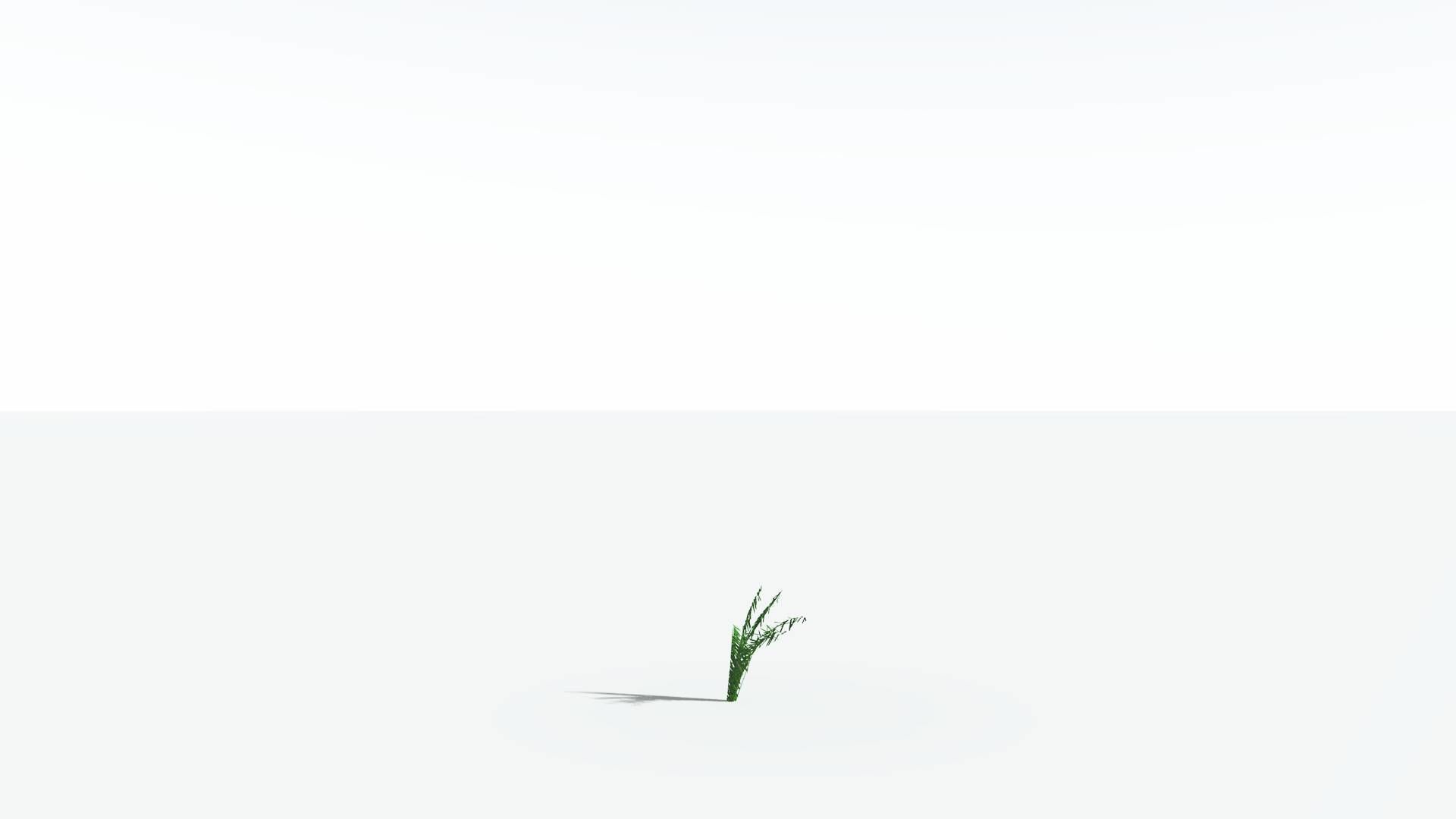 EVERYPlant Seashore Palm LowPoly 2 --12 Models-- Low-poly 3D model_20