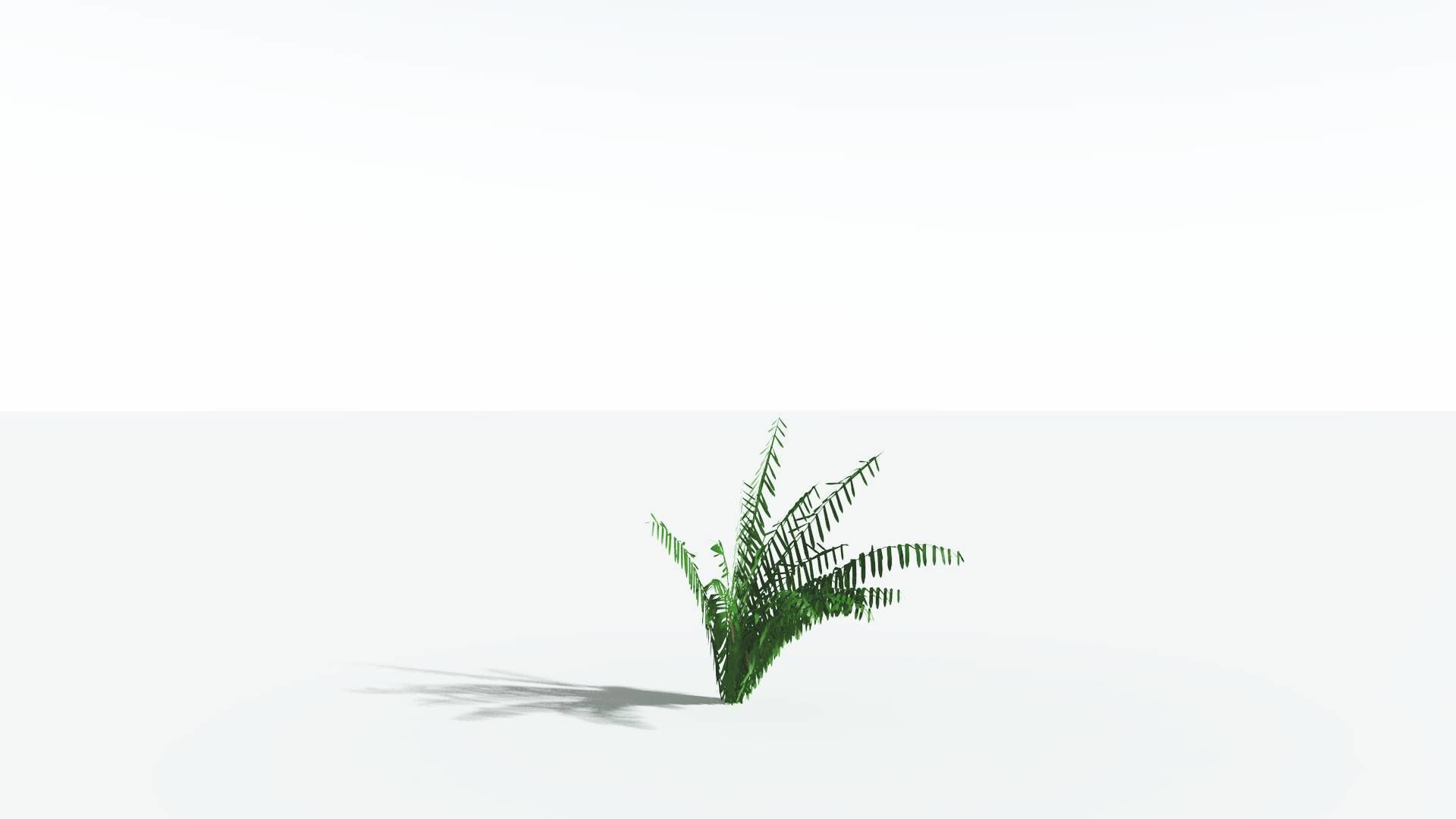EVERYPlant Seashore Palm LowPoly 2 --12 Models-- Low-poly 3D model_18
