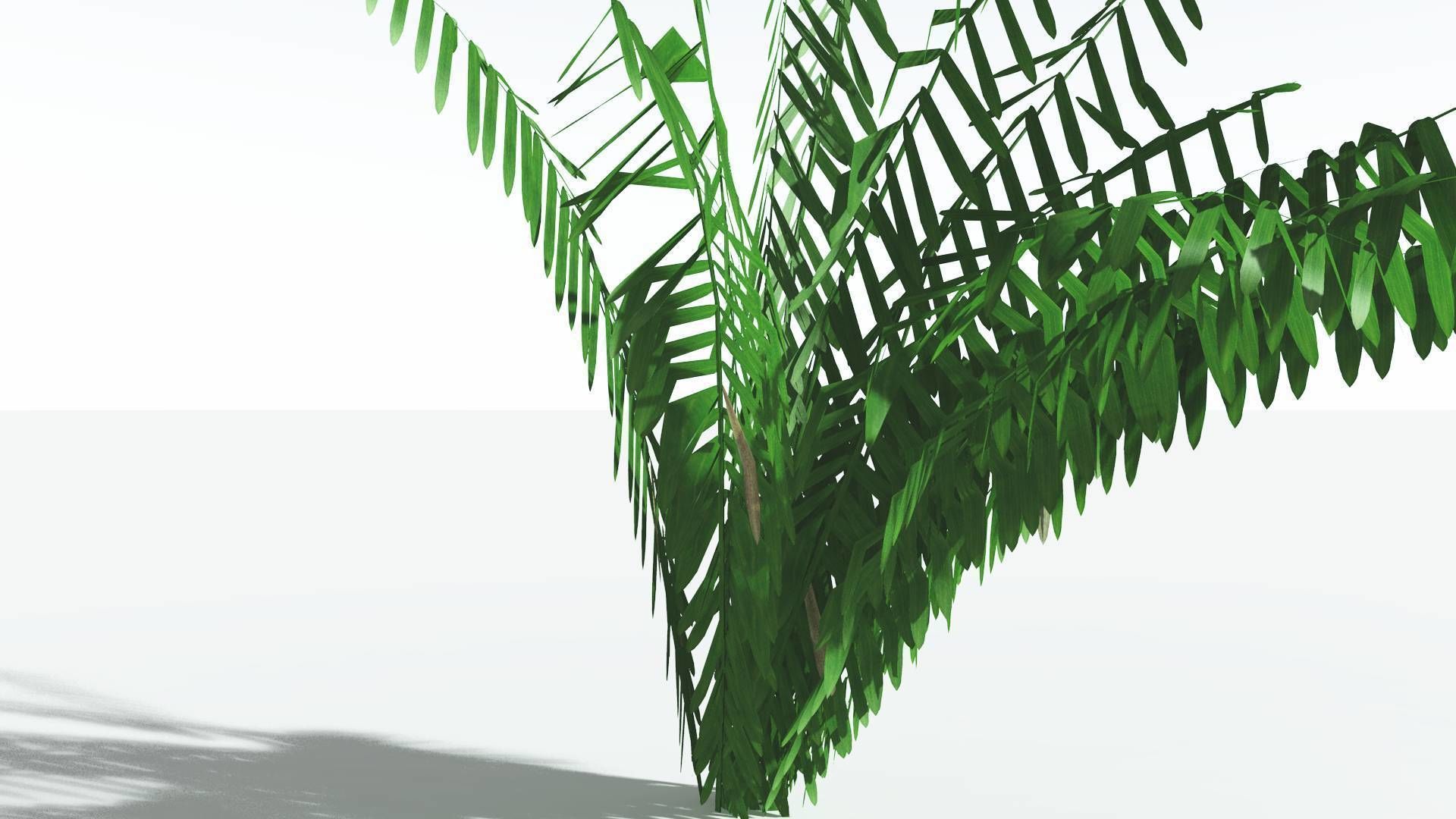 EVERYPlant Seashore Palm LowPoly 2 --12 Models-- Low-poly 3D model_19