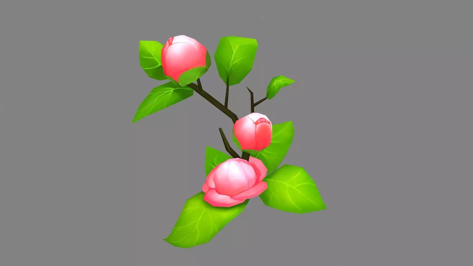 Cartoon Camellia flower Low-poly 3D model