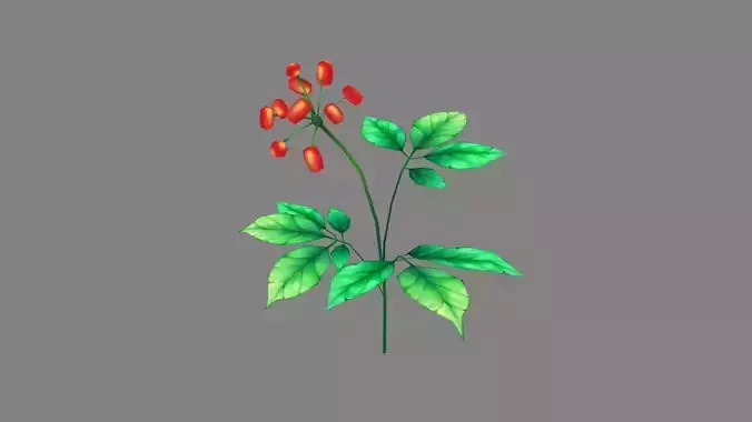 Cartoon  berry plants - Flowering herbs