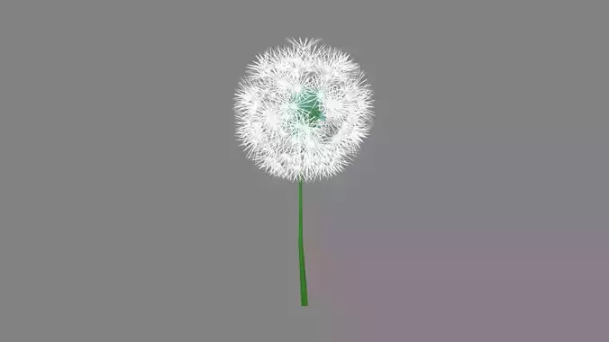 Cartoon seed balls - Dandelion seeds - taraxacum seed