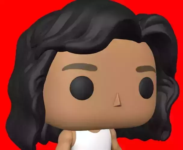 CUSTOM FUNKO POP - HAIR 24