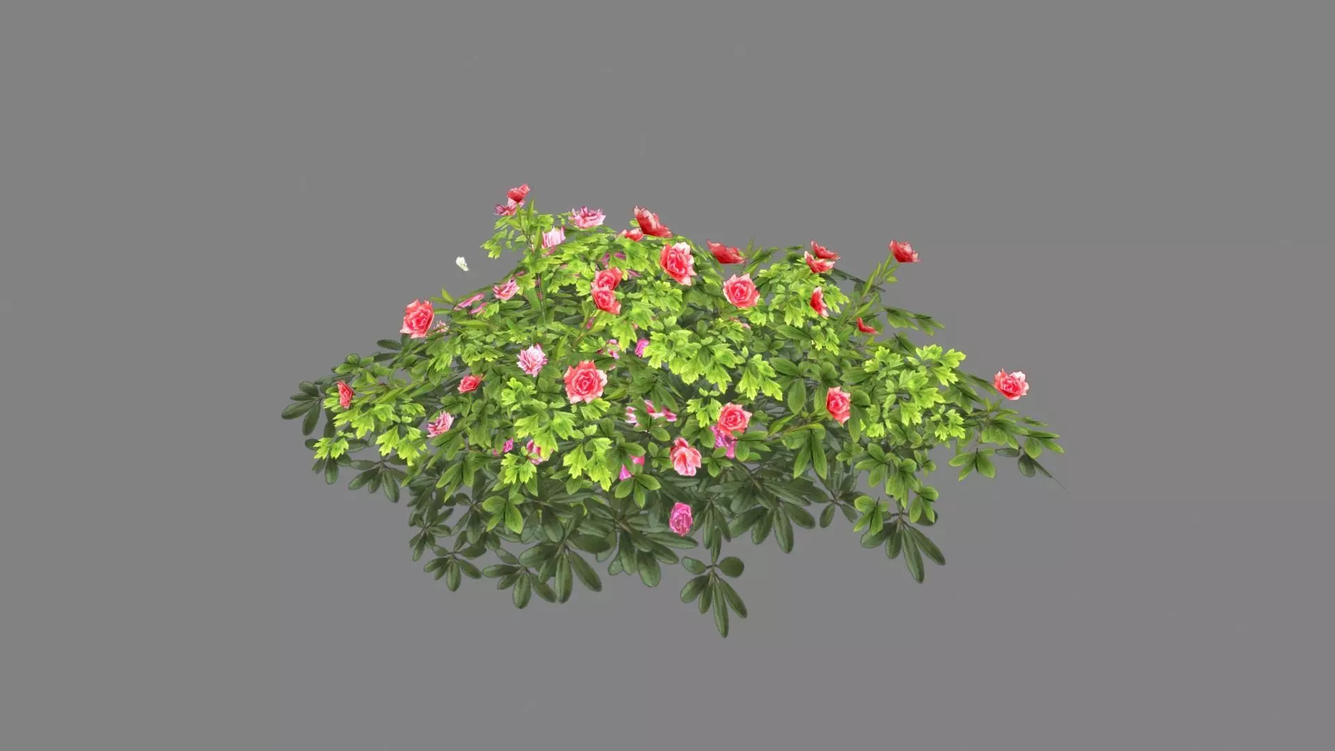 Cartoon rose bushes Low-poly 3D model