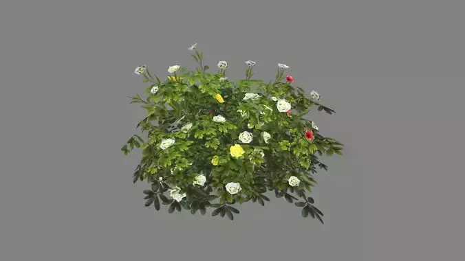 Cartoon white rose bushes