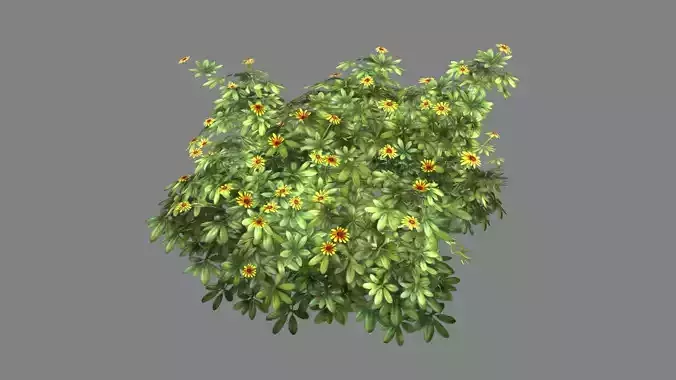 Cartoon Daisy bushes - Yellow flowers