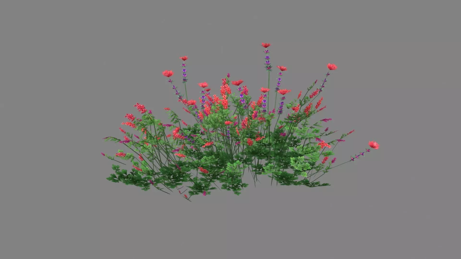 Cartoon lavender bushes - purple flowers Low-poly 3D model