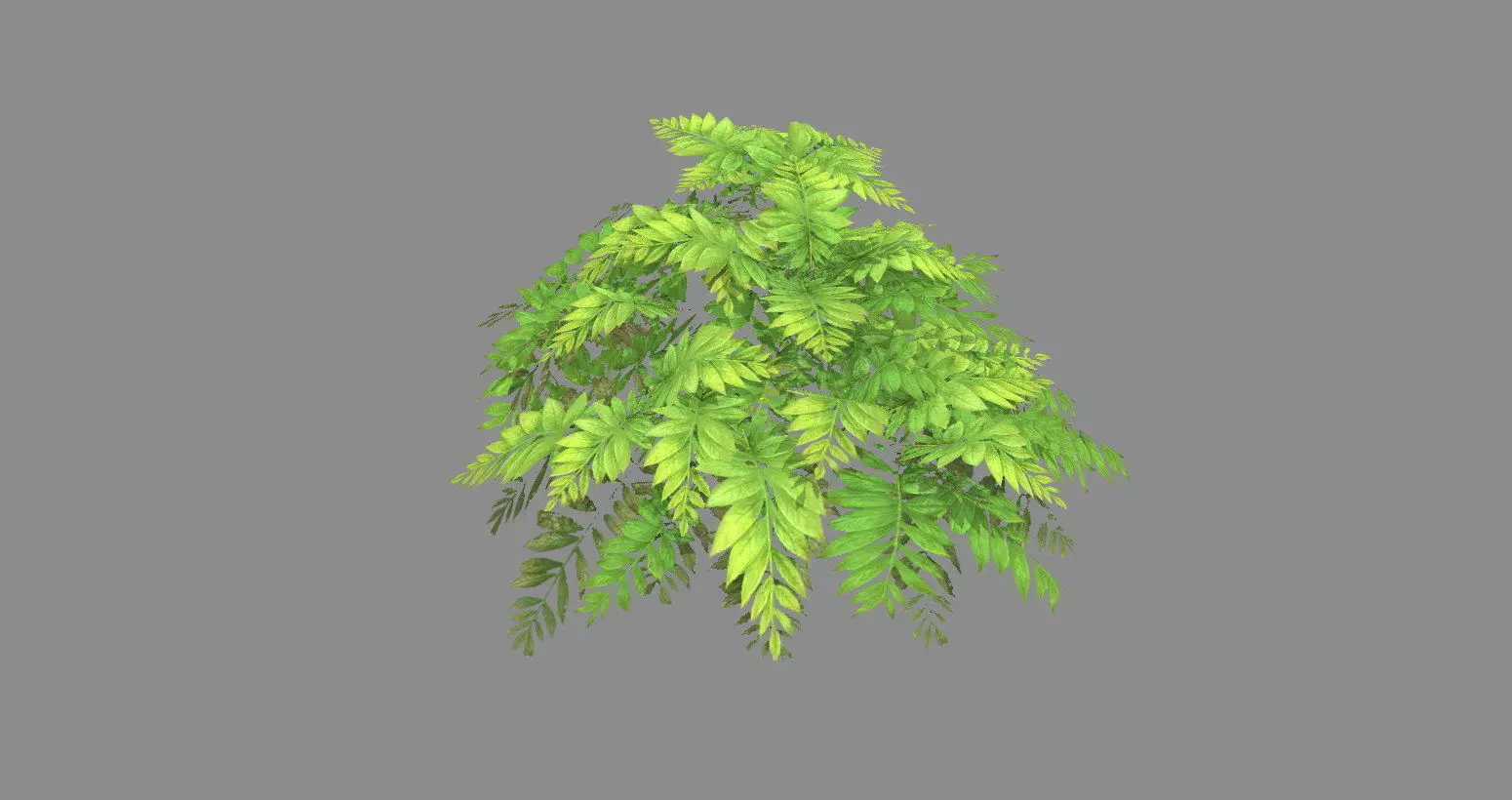 Cartoon grass bushes Low-poly 3D model