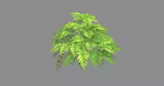 Cartoon grass bushes