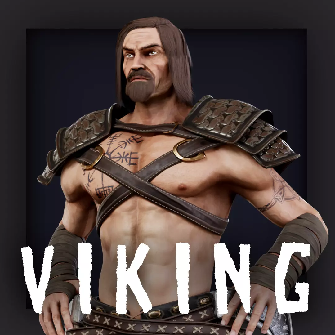 VIKING1 Low-poly 3D model_0