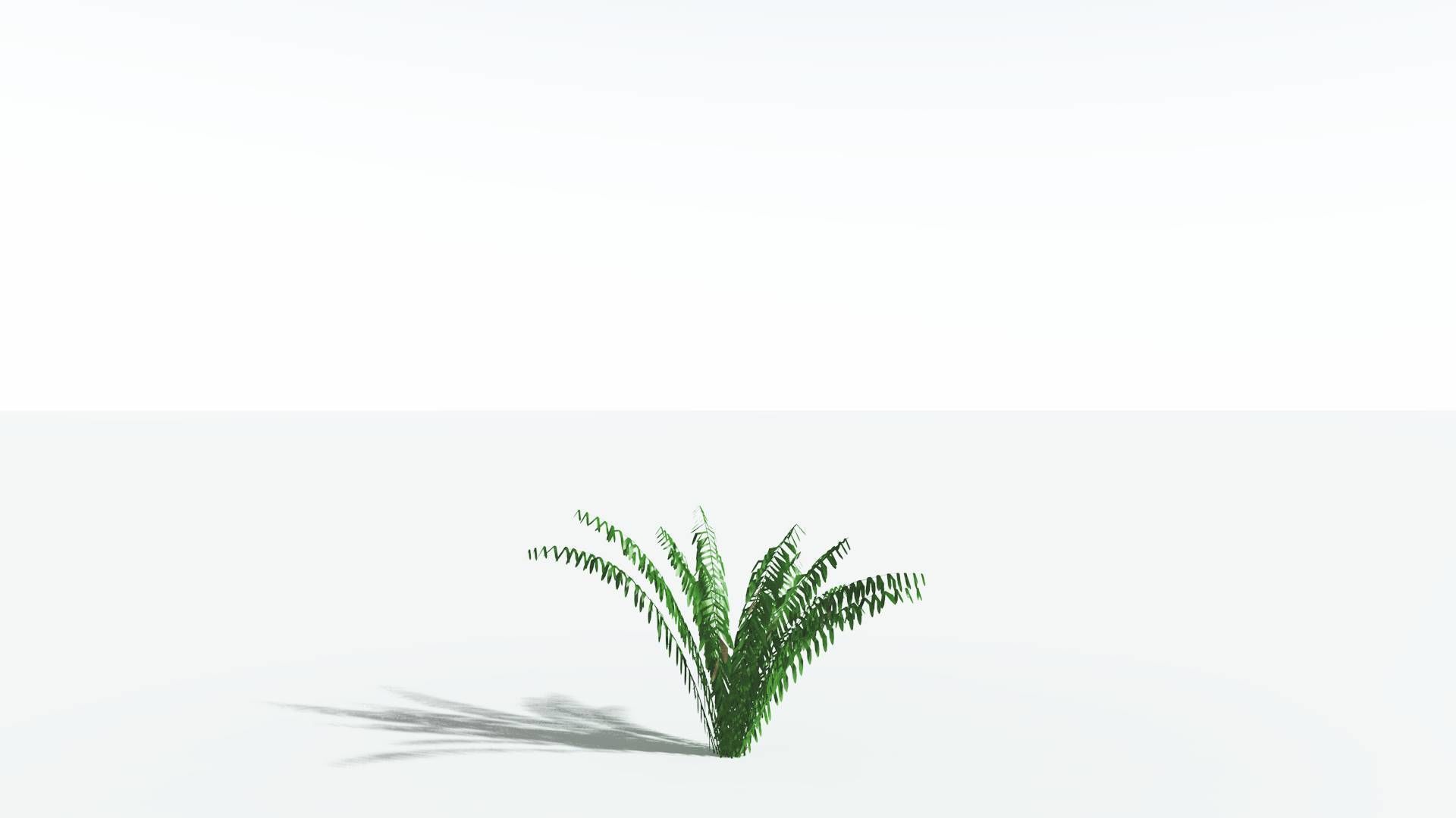 EVERYPlant Seashore Palm LowPoly 3 --12 Models-- Low-poly 3D model_18