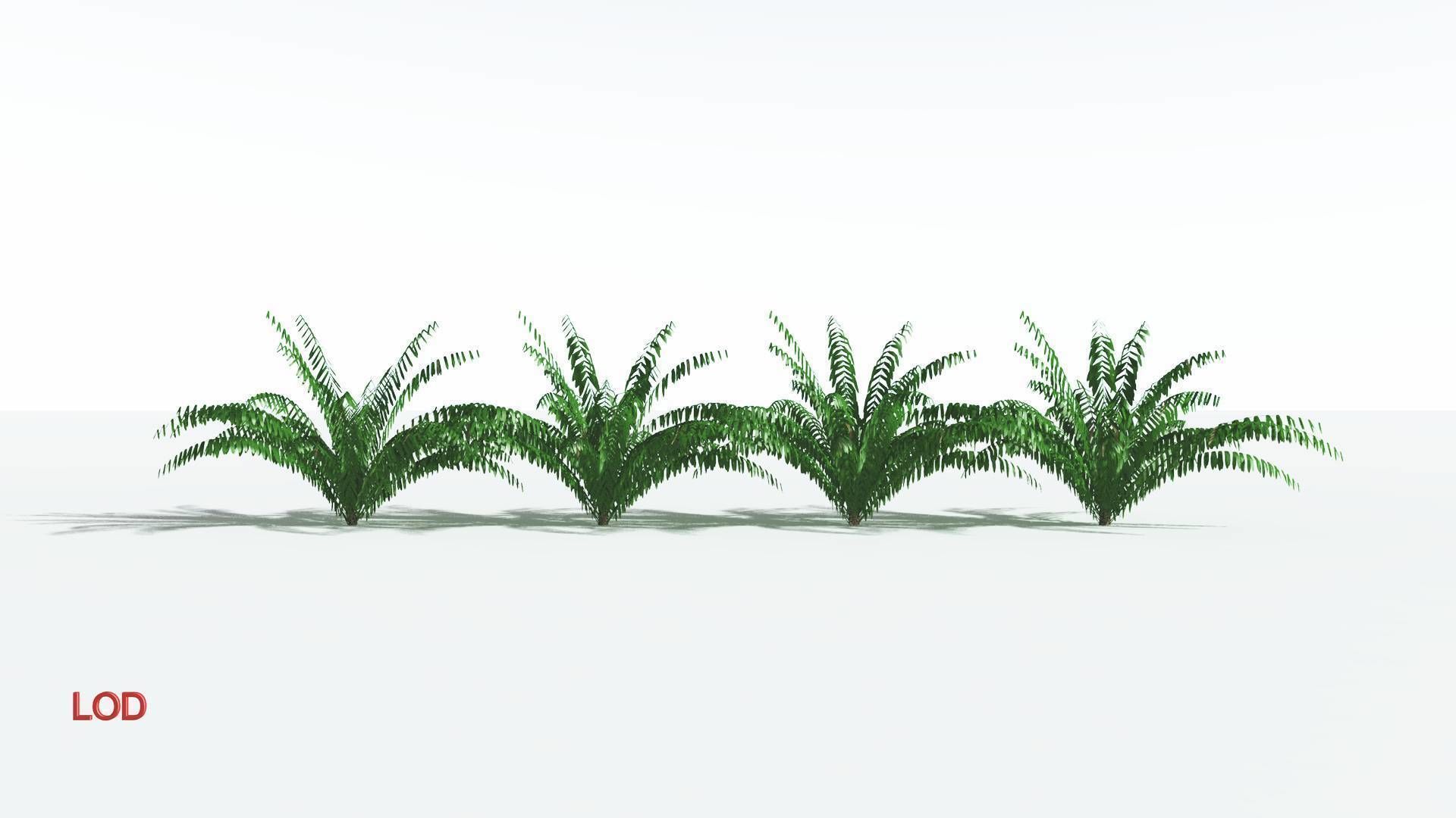 EVERYPlant Seashore Palm LowPoly 3 --12 Models-- Low-poly 3D model_3