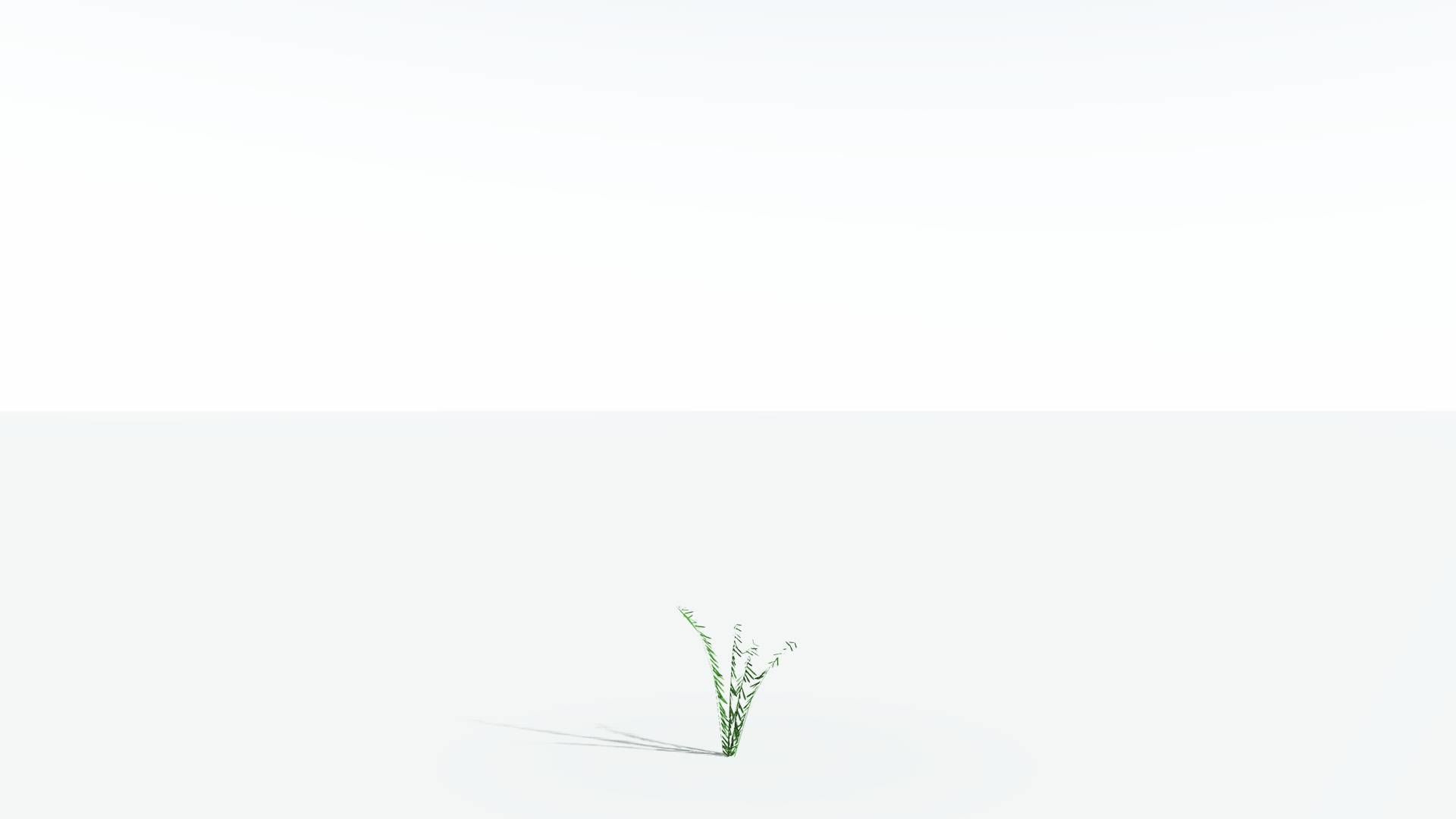 EVERYPlant Seashore Palm LowPoly 3 --12 Models-- Low-poly 3D model_20