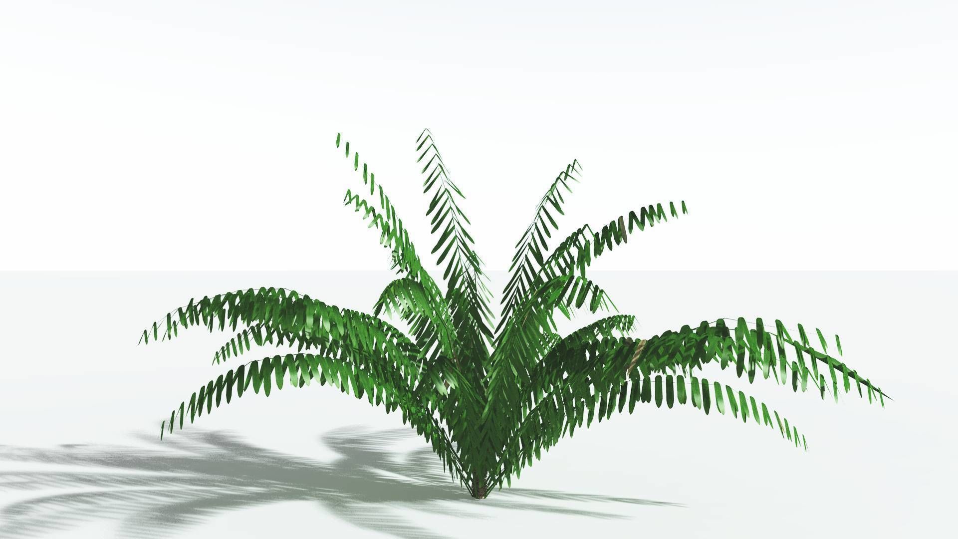 EVERYPlant Seashore Palm LowPoly 3 --12 Models-- Low-poly 3D model_22