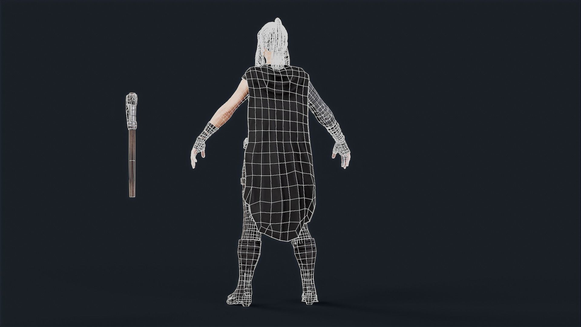 VIKING 5 Low-poly 3D model_12