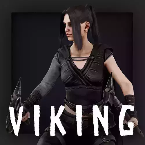 VIKING 5 Low-poly 3D model