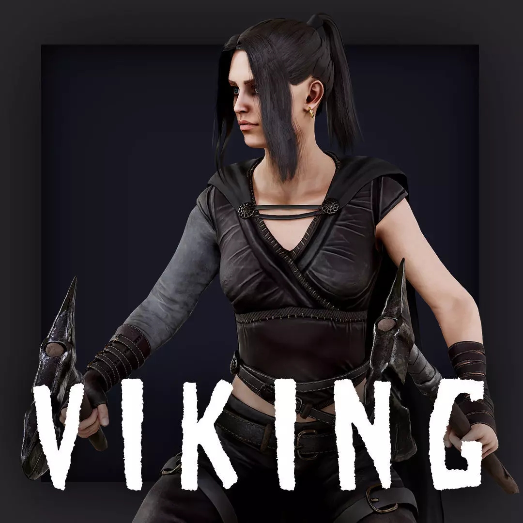 VIKING 5 Low-poly 3D model_0