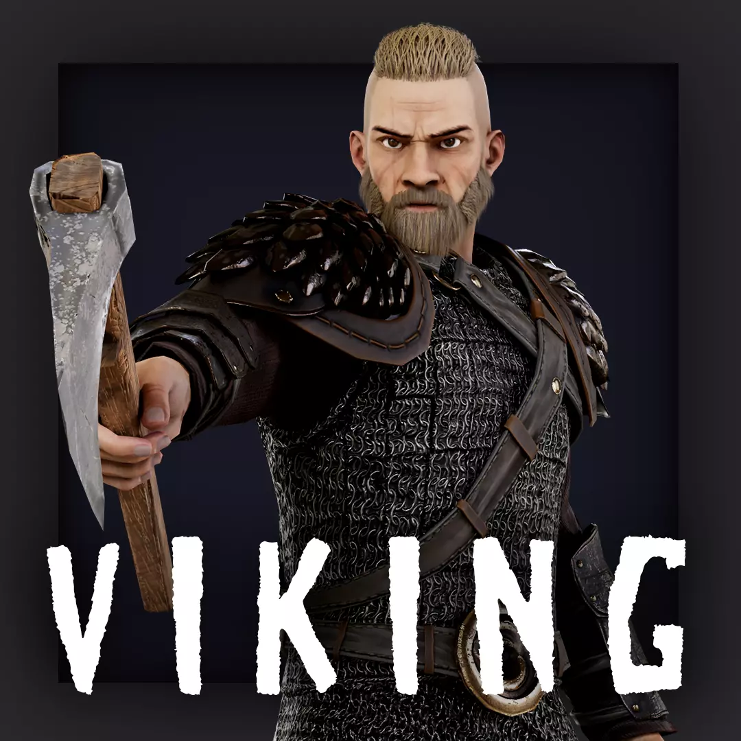 VIKING 6 Low-poly 3D model_0