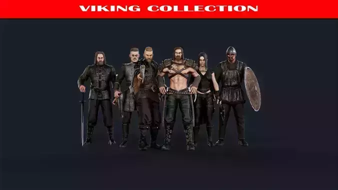 Viking collection B 