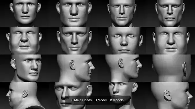 8 Male Heads 3D Model  3D Model Collection