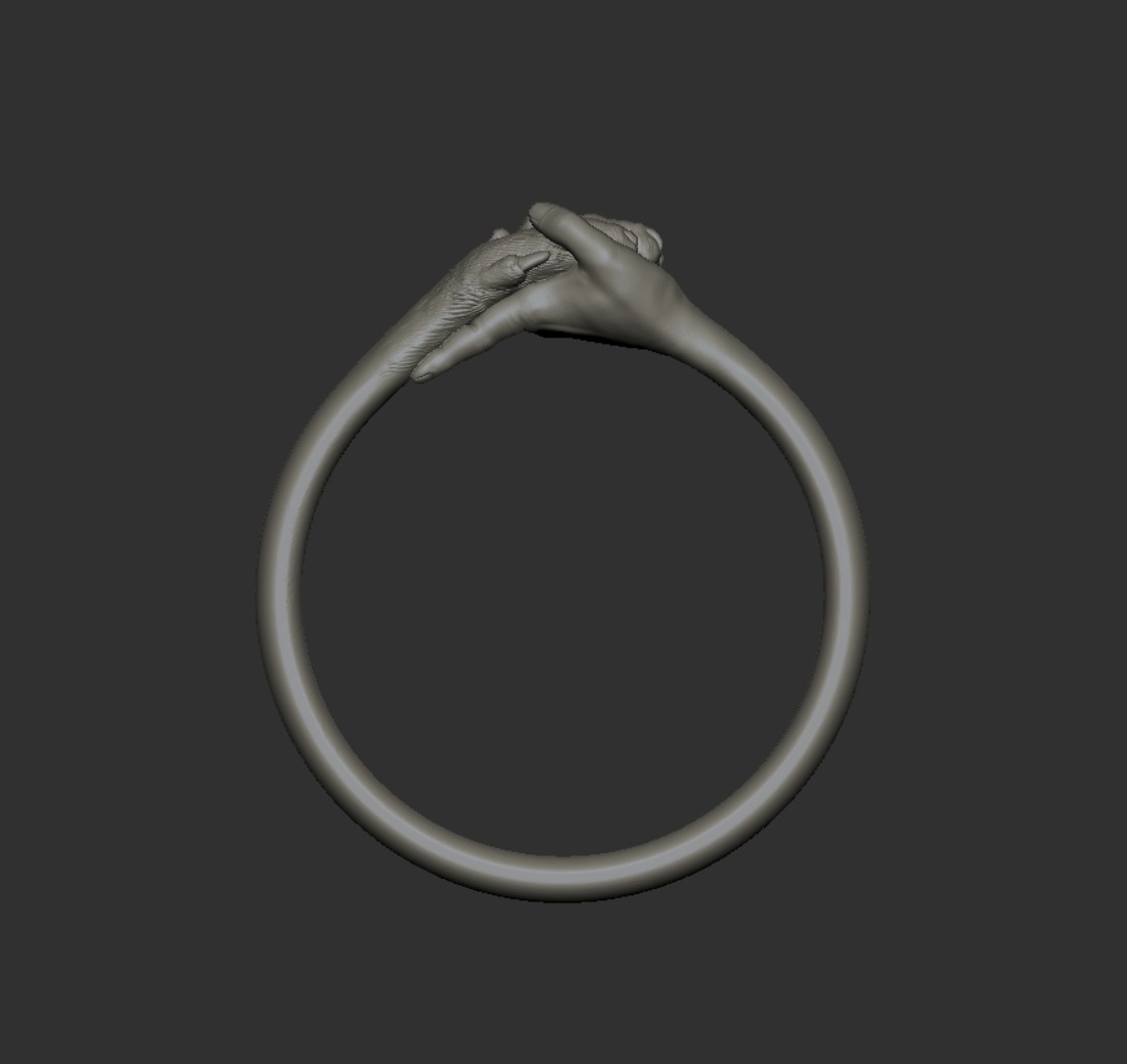 hand and paw ring 3D print model_22